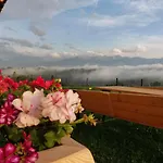 فيلة Nowa *